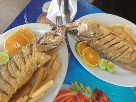 fried covina fish, Boquete, Panama – Best Places In The World To Retire – International Living